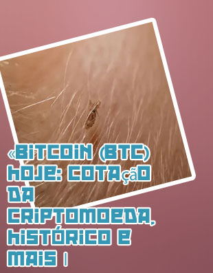 Bit hoje