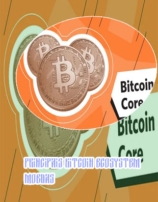 Bitcoin ecosystem