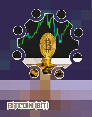 Bitcoin profit platform