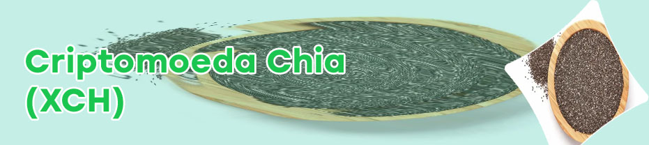 Chia moeda preço