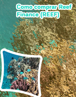 Criptomoeda reef