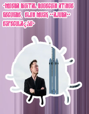Moeda elon musk
